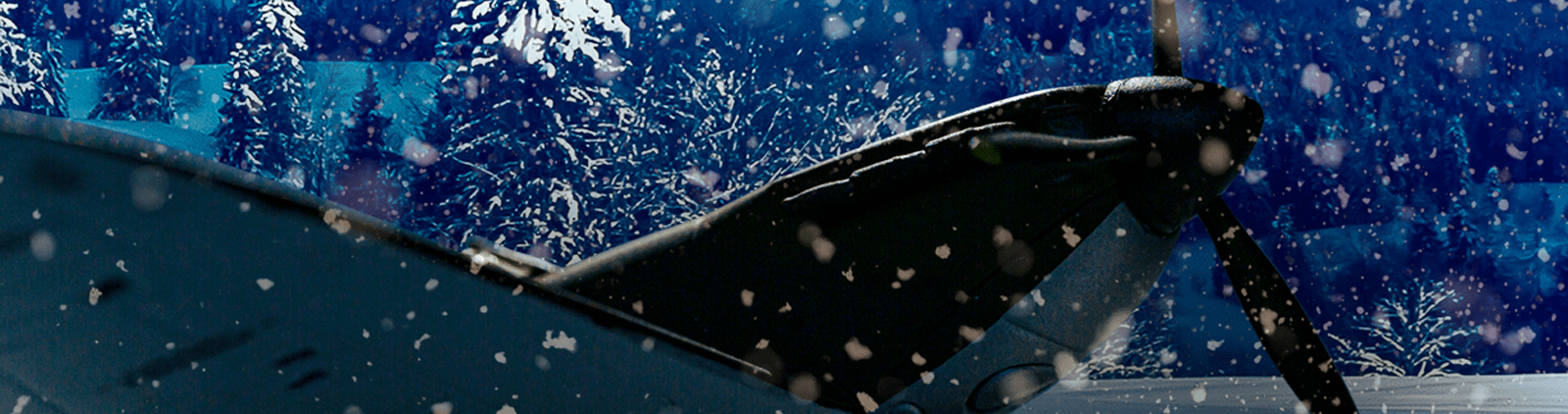 corgi advent calendar