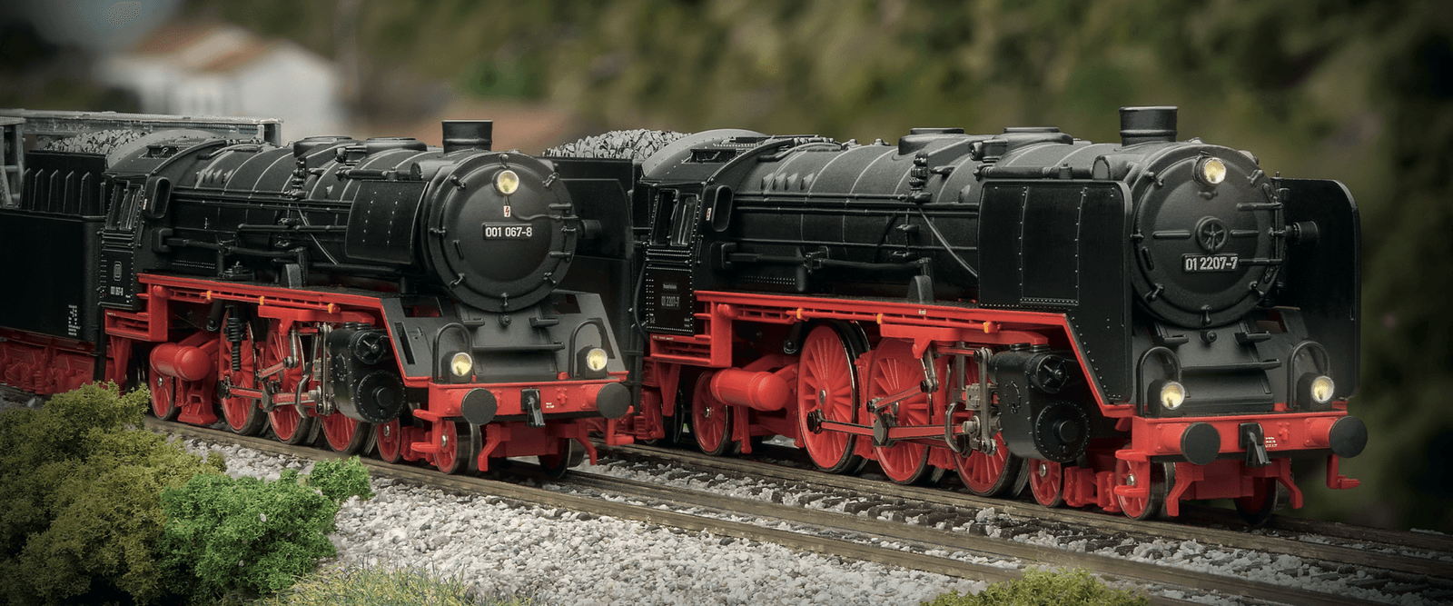 Catalogue Banner 1600x700 at 2x