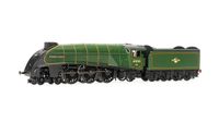 入荷通知 アプリ おすすめ Fleece' 'Golden 60030 4-6-2, Class, A4 BR, R3994 - 5 Era 鉄道模型