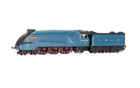 Hornby Dublo: LNER, Class A4, 4-6-2, 4464 'Bittern': Great Gathering 10th Anniversary - Era 10