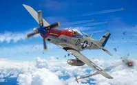 North American P-51D Mustang 'Jersey Jerk' - 356th USAAF  - Major Donald Strait