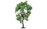 Pear Tree