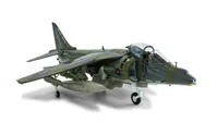 BAe Harrier GR9A 'Ninja 1' - Final Flight Retirement Scheme
