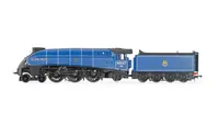 Hornby Dublo: BR, Class A4, 4-6-2, 60007 'Sir Nigel Gresley': Great Gathering 10th Anniversary - Era 10