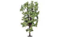 Horse-Chestnut Tree