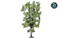 Horse-Chestnut Tree
