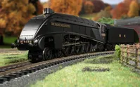 LNER - Class A4 - 4466 'Sir Ralph Wedgwood' (VE Day 80th Anniversary)