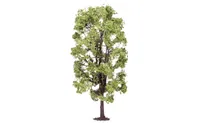 Lime Tree