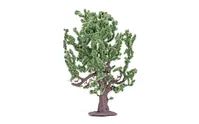 Oak Tree