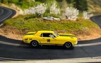 Ford Mustang Rassler Racing