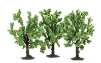 Alberi da frutto