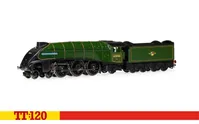 The Easterner Train Set