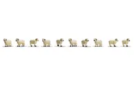 Sheep - Pack of 10