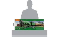 Flying Scotsman Train Set