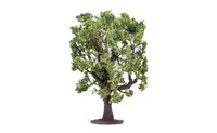 Oak Tree
