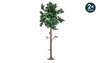 Large Pine Tree