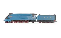 Hornby Dublo: LNER, Class A4, 4-6-2, 4464 'Bittern': Great Gathering 10th Anniversary - Era 10