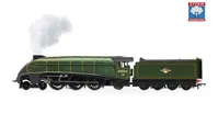 BR - Class A4 - 'Seagull' - 60033 (With Steam Generator)