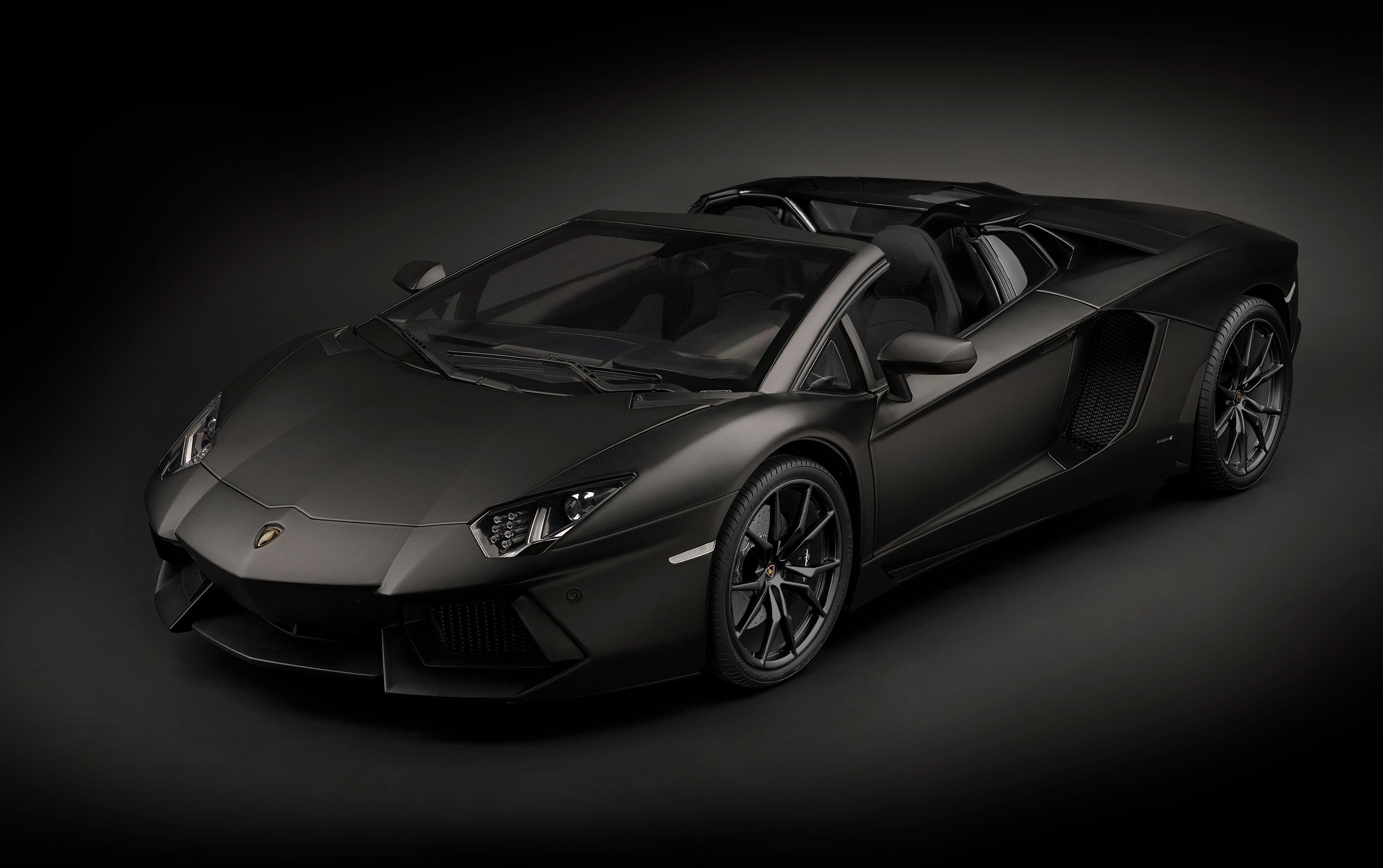 Lamborghini Aventador LP700-4 Roadster Nero Nemesis - 1:8 Scale Kit