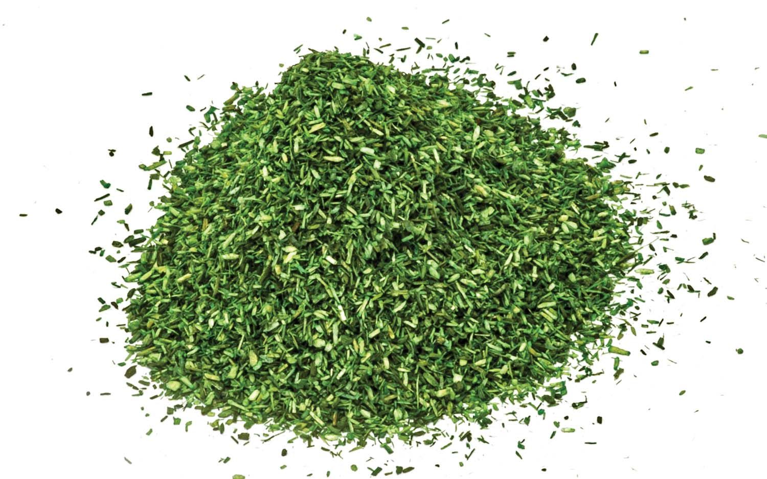 Dark Green Scatter Dark Green Scatter