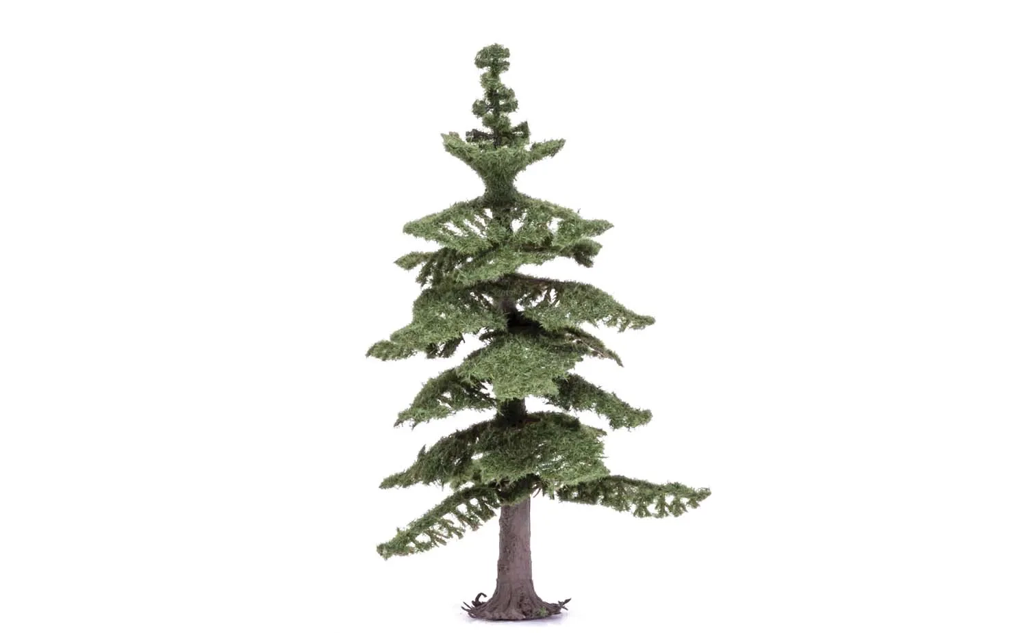 Medium Nordic Fir Tree