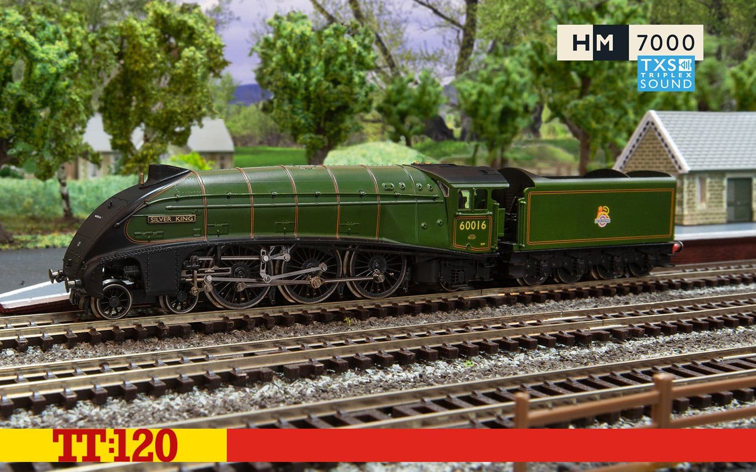 BR Class A4 4-6-2 60016 'Silver King' - Era 4 (Sound Fitted)