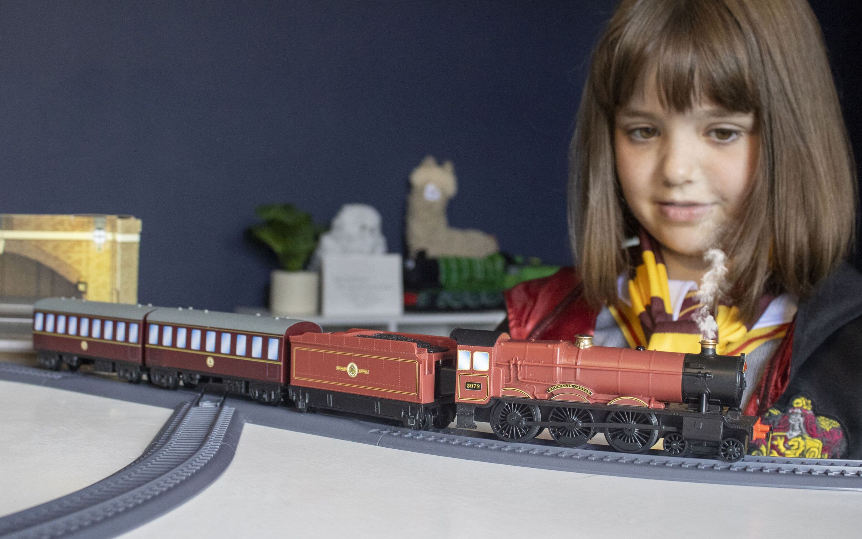 Playtrains - Harry Potter Hogwarts Express - Train Set (with Steam)