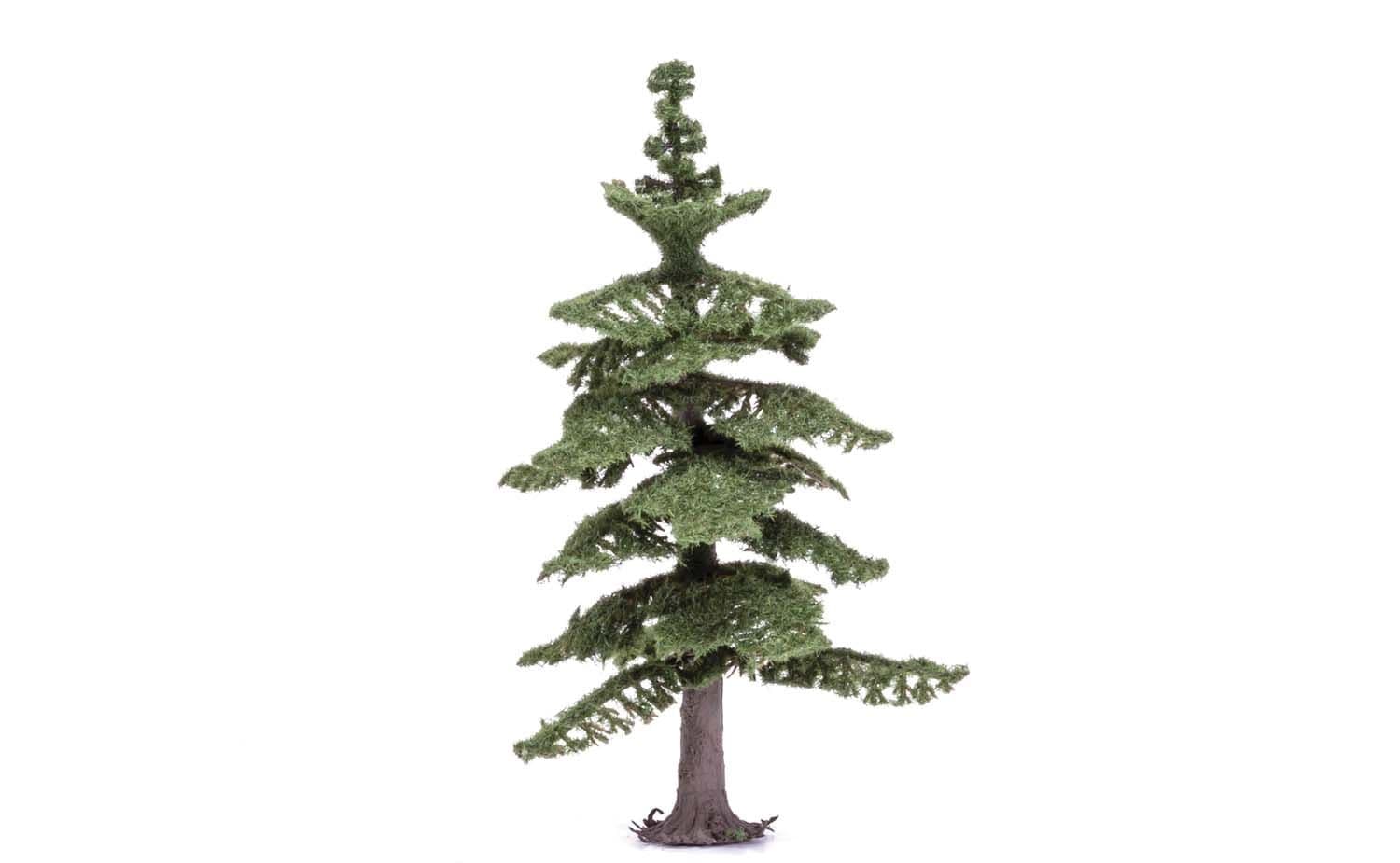 Medium Nordic Fir Tree