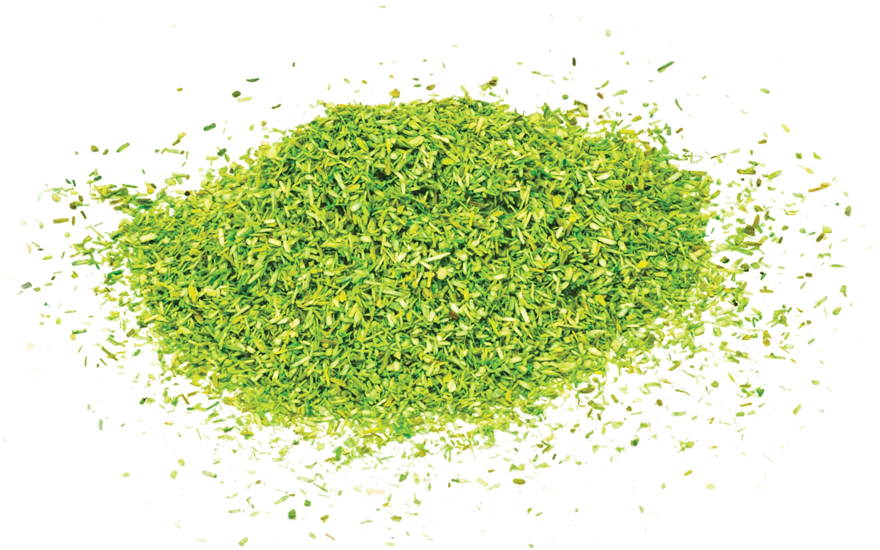Scatter - Light Green