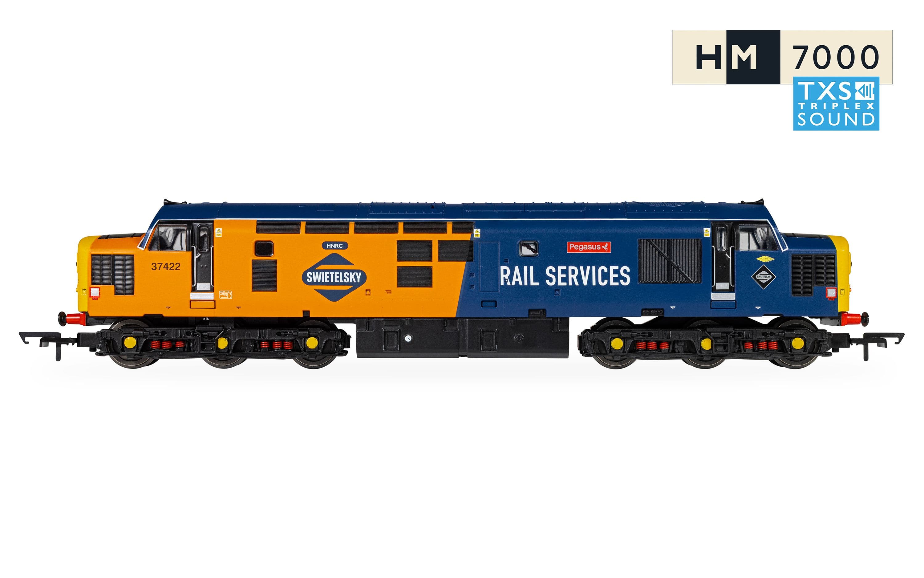 RailRoad: Rail Services - Class 37 - 'Pegasus' 37422 (DCC Sound Fitted)