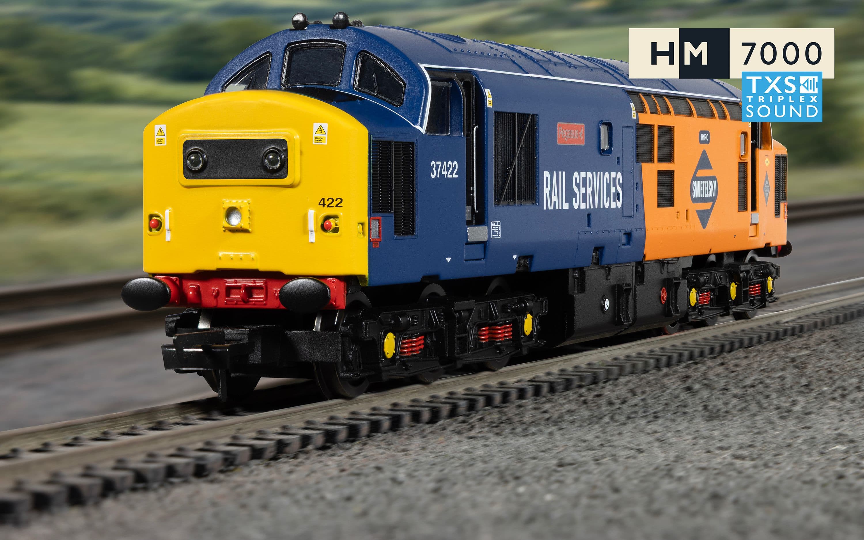 RailRoad: Rail Services - Class 37 - 'Pegasus' 37422 (DCC Sound Fitted)