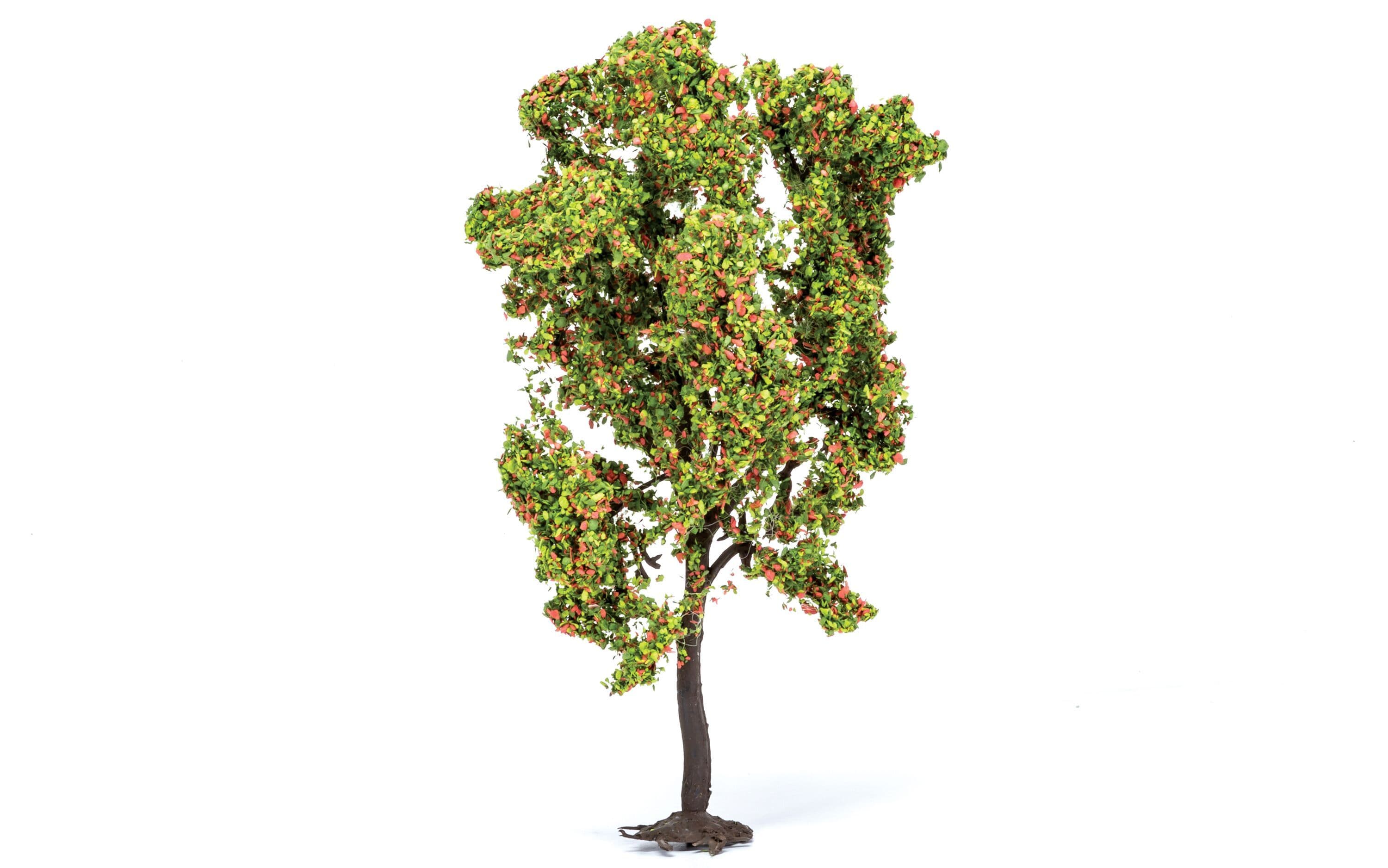 Rowan Tree (with Berries)