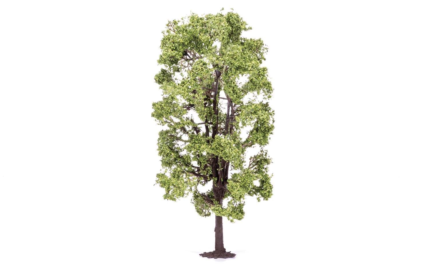 Lime Tree