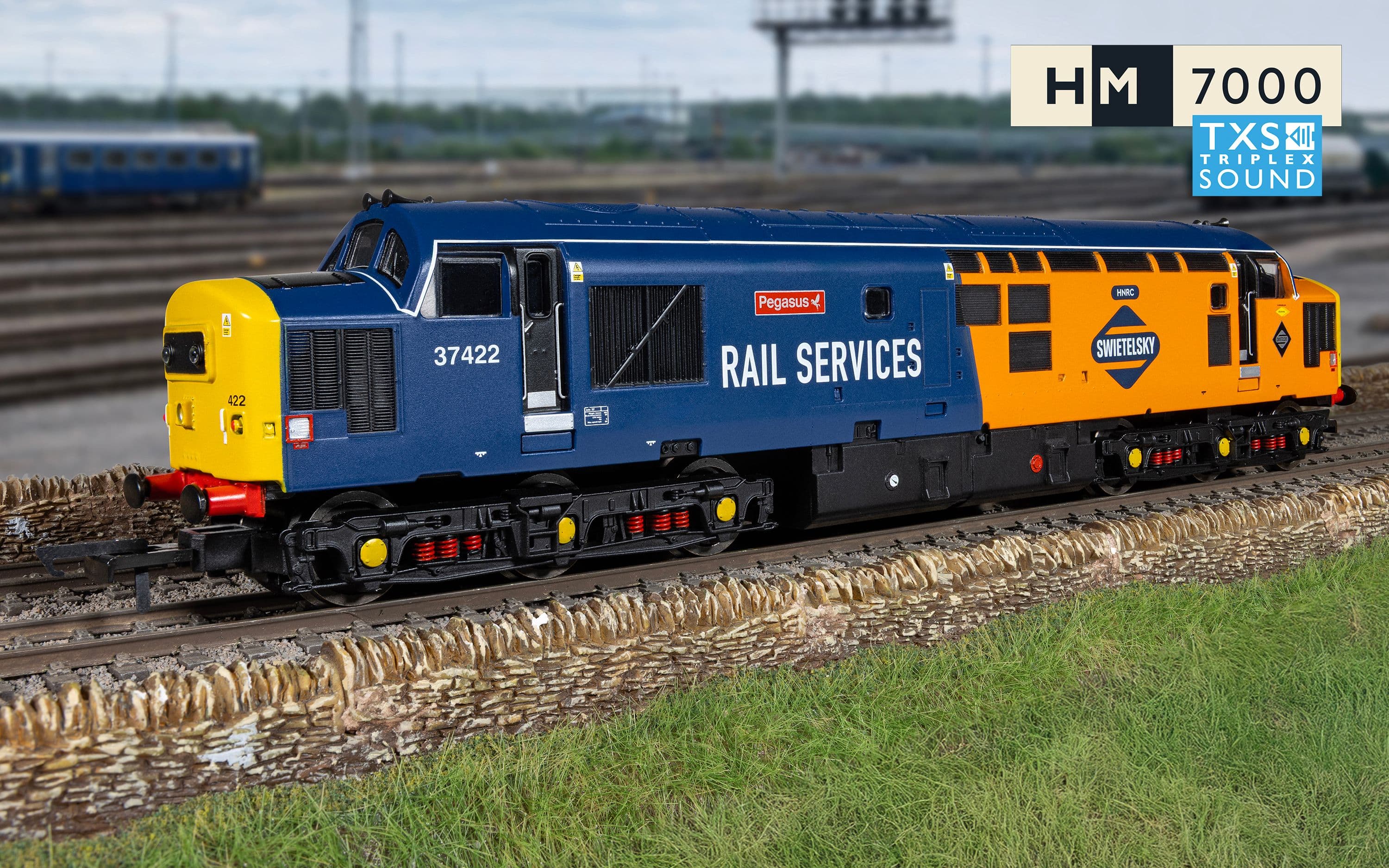 RailRoad: Rail Services - Class 37 - 'Pegasus' 37422 (DCC Sound Fitted)