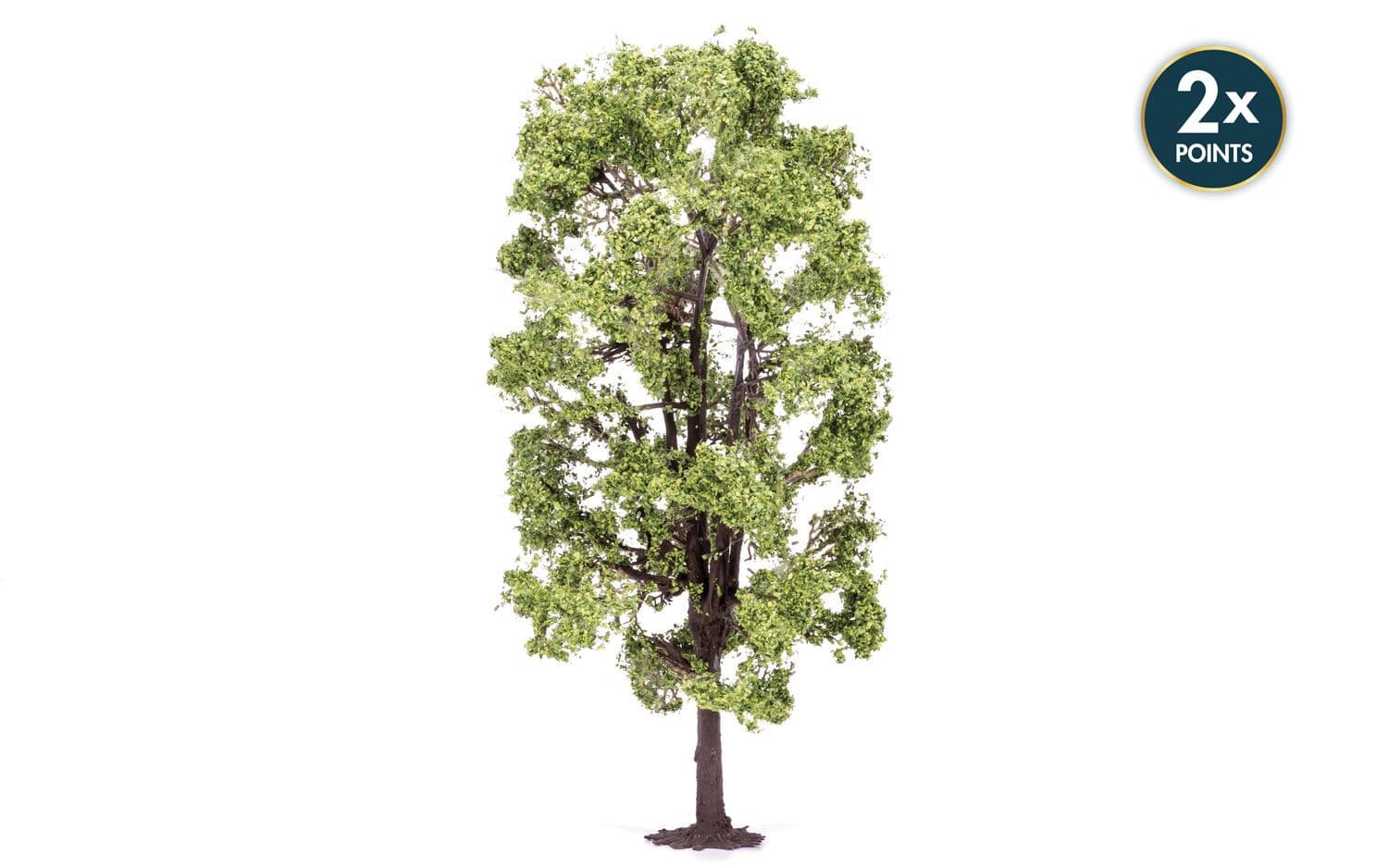 Lime Tree