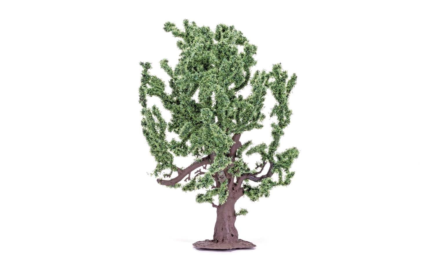 Oak Tree