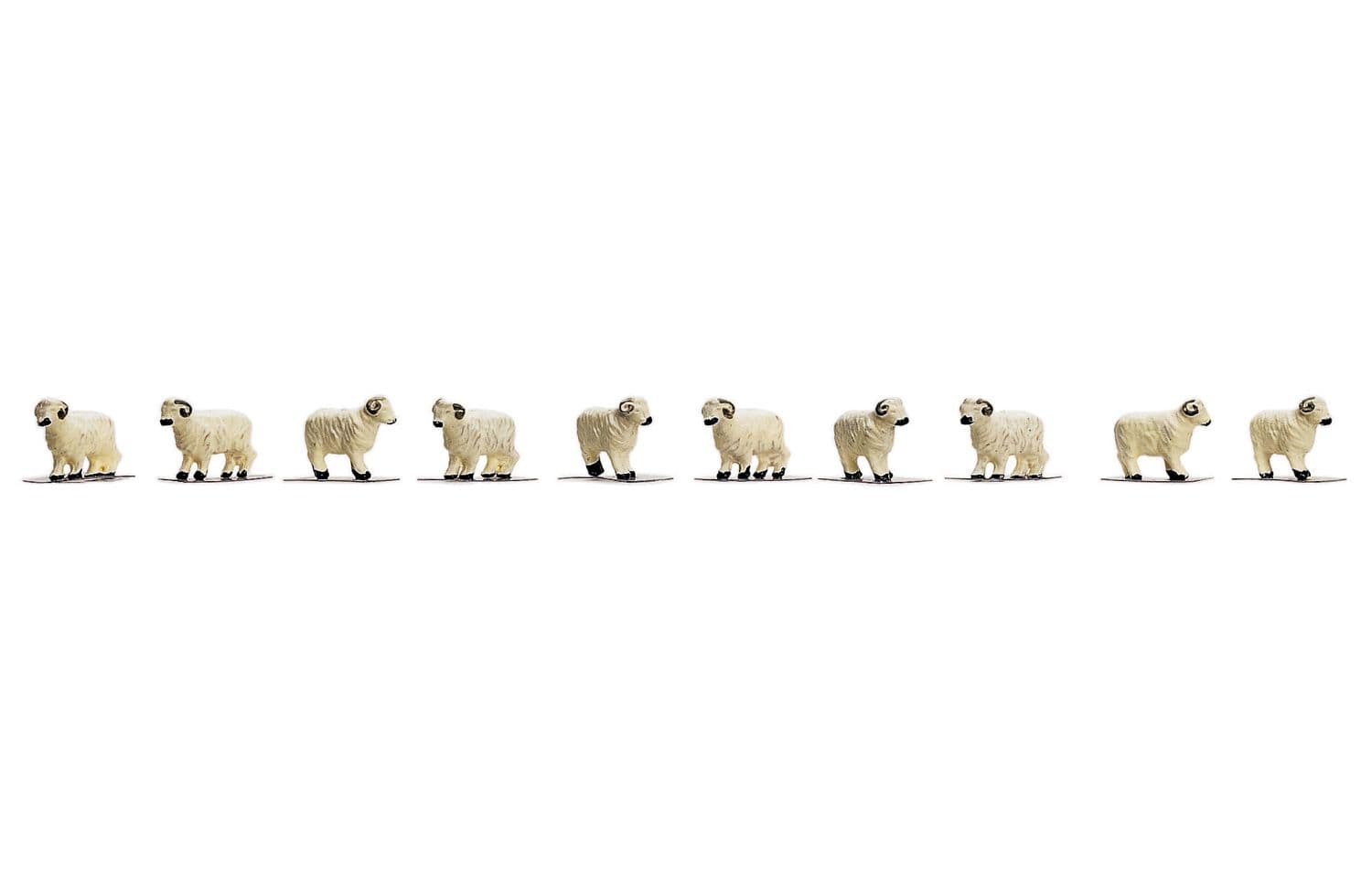 Sheep - Pack of 10