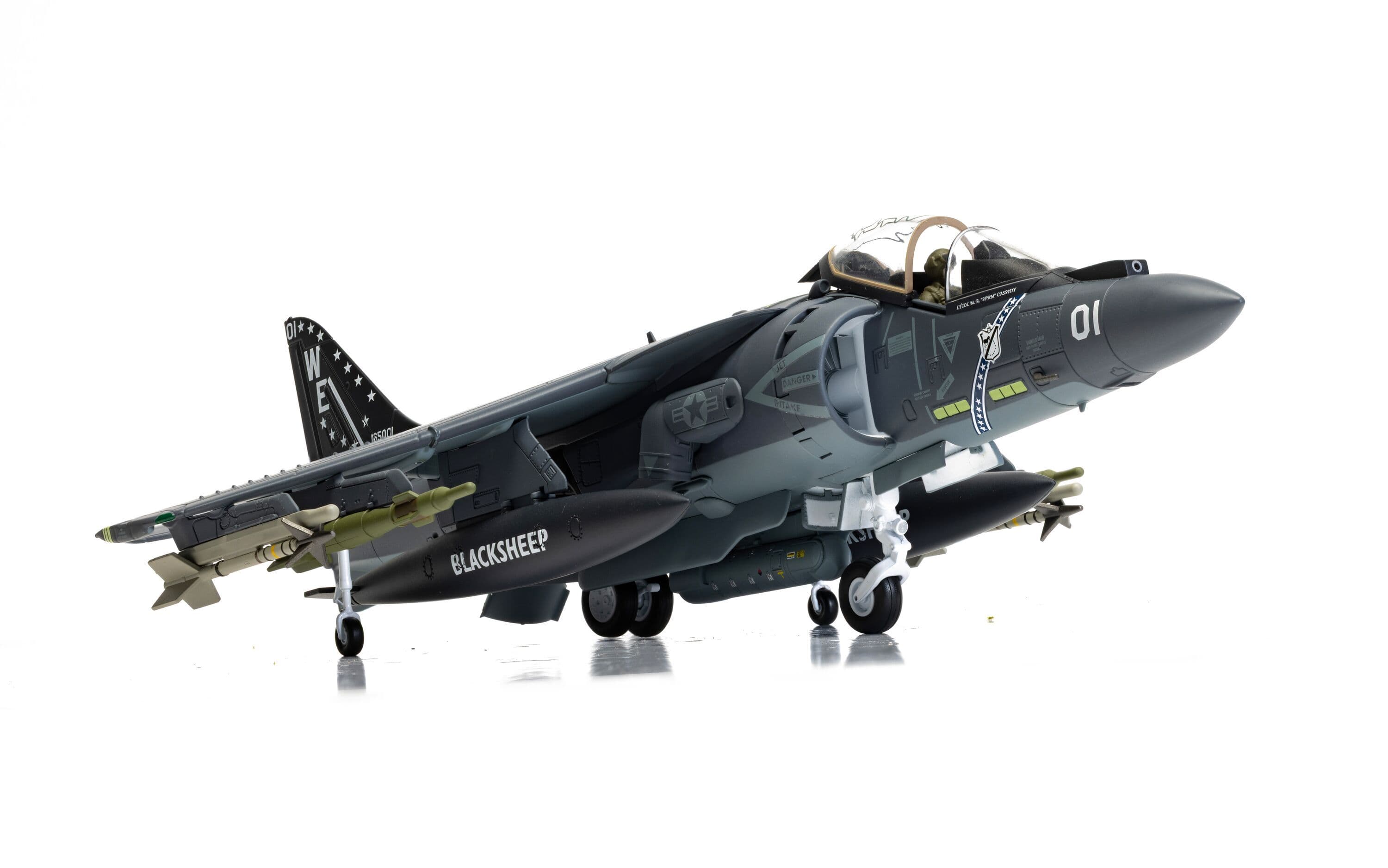 McDonnell Douglas AV-8B Harrier II Plus - 165001/01 - VMA-214 'Black Sheep'