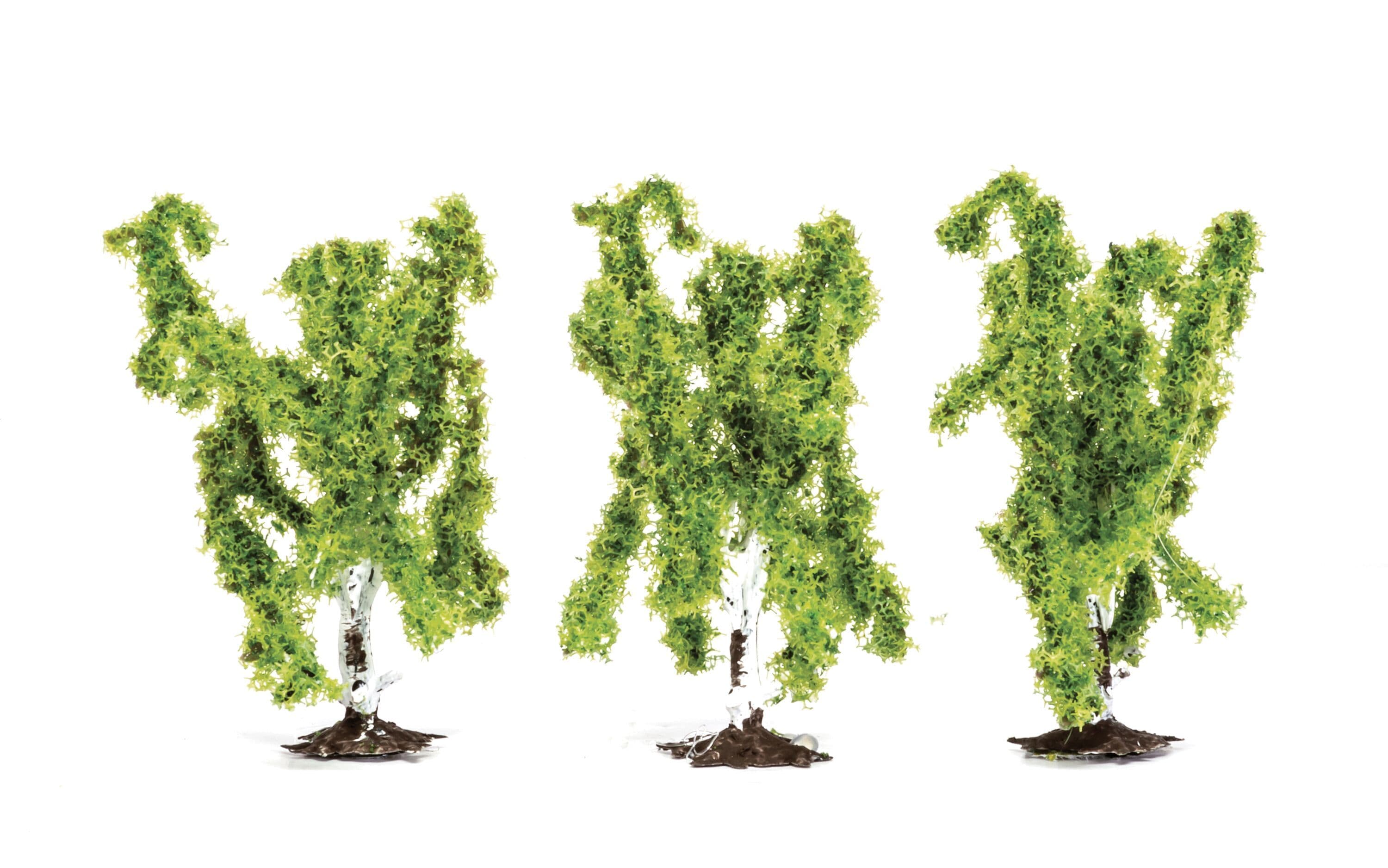 Birch Trees - 3x Pieces