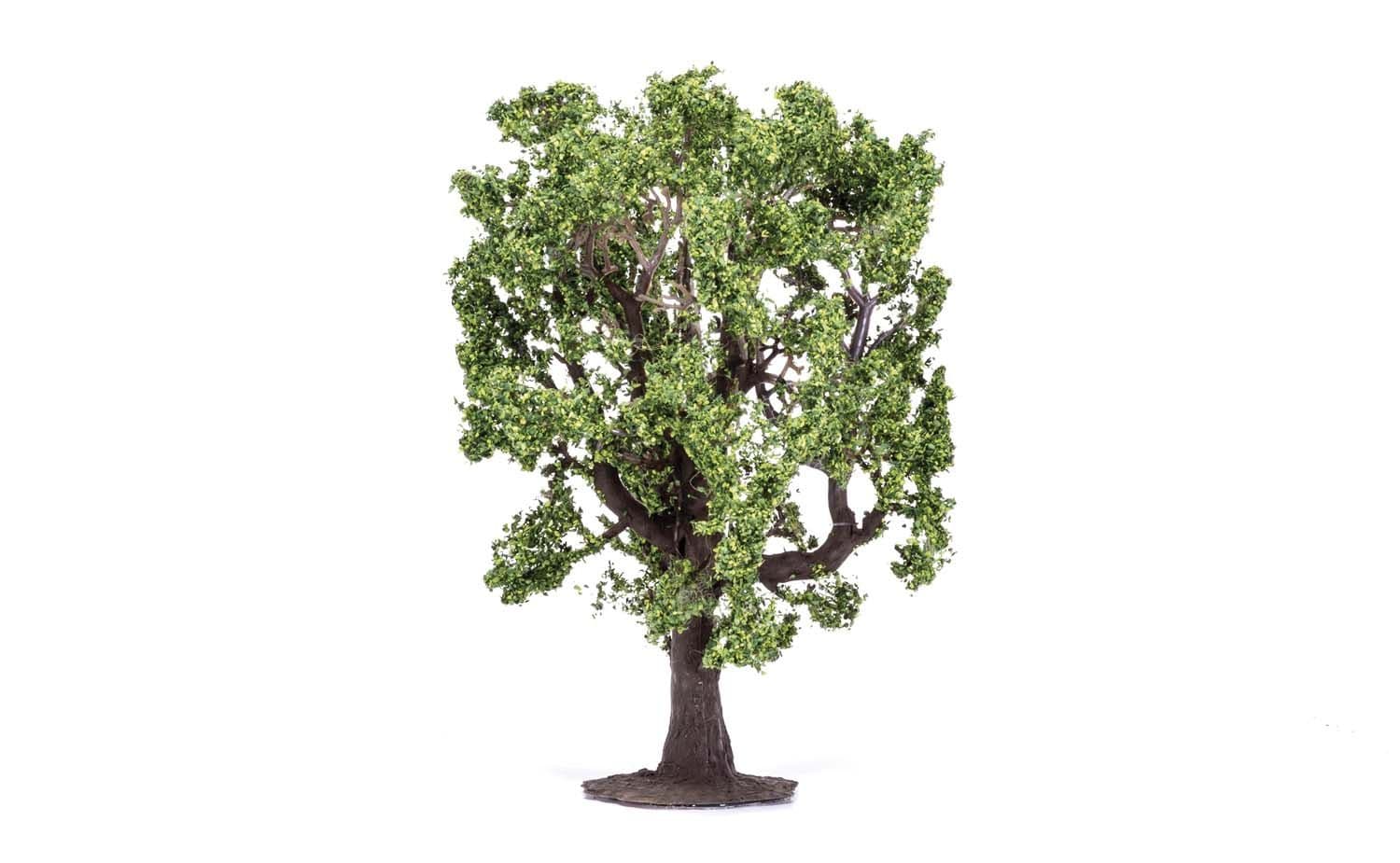 Oak Tree