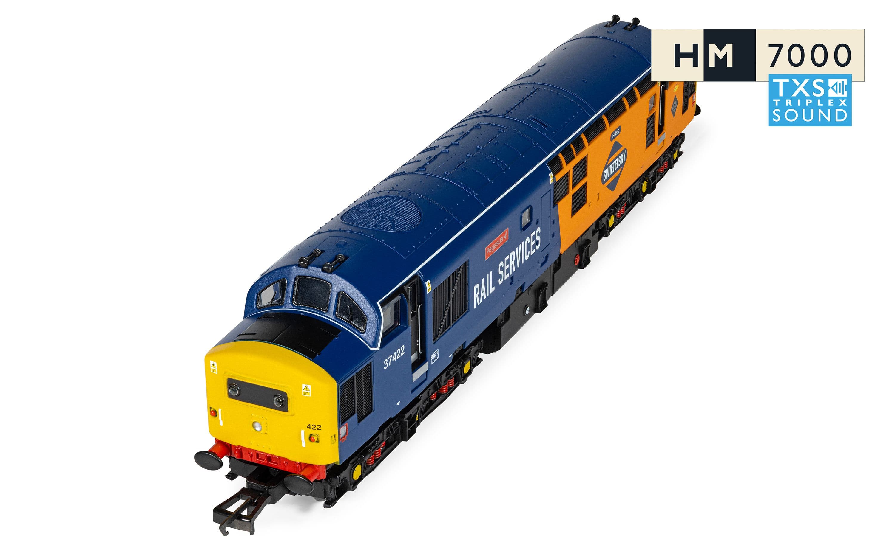 RailRoad: Rail Services - Class 37 - 'Pegasus' 37422 (DCC Sound Fitted)