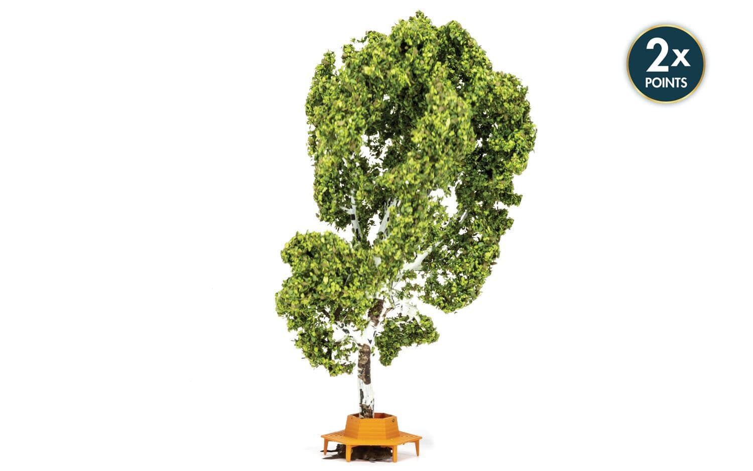 Tree (with Circular Bench)