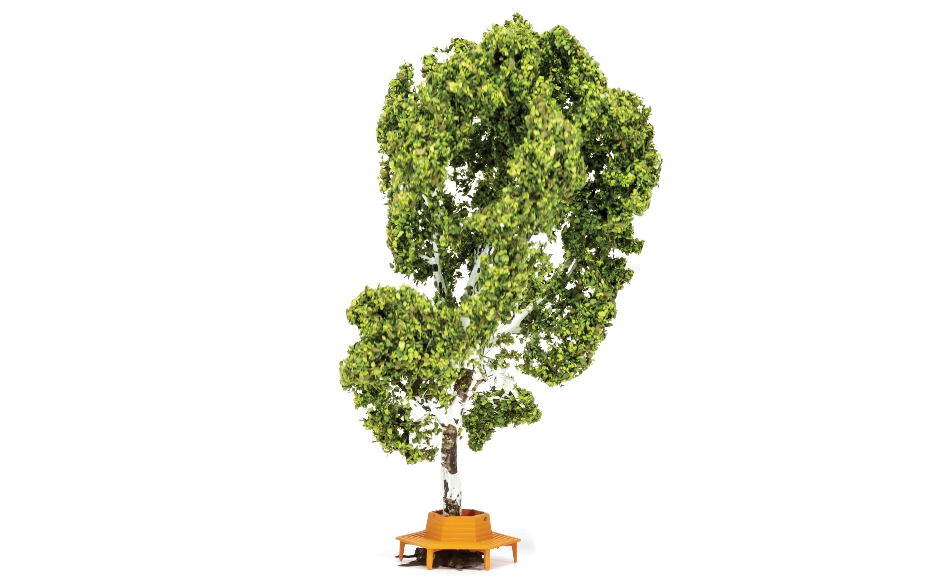 Tree (with Circular Bench)