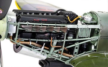 800 x 500  a17001.jpg (4)