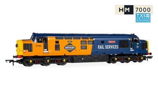 RailRoad: Rail Services - Class 37 - 'Pegasus' 37422 (DCC Sound Fitted)