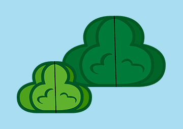 PLAYTRAINS Print and Stick BUSH 360x255