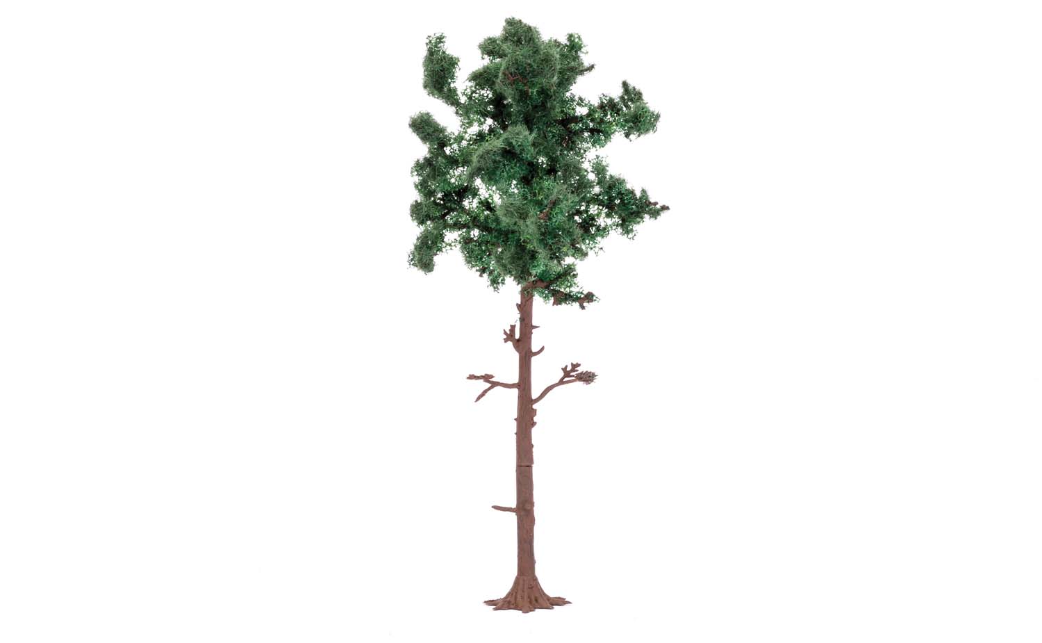 Large Pine Tree