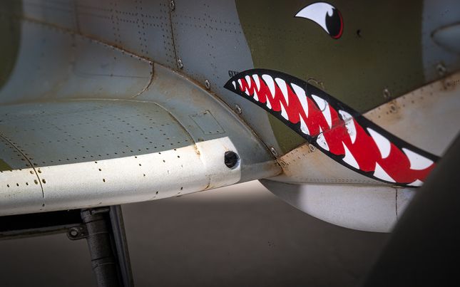 Supermarine Spitfire Mk.VIII