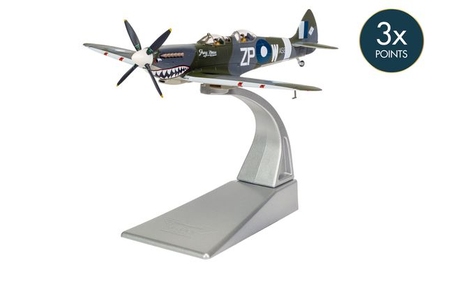 AA29201 Supermarine Spitfire T.9 TE308 'Grey Nurse', Biggin Hill