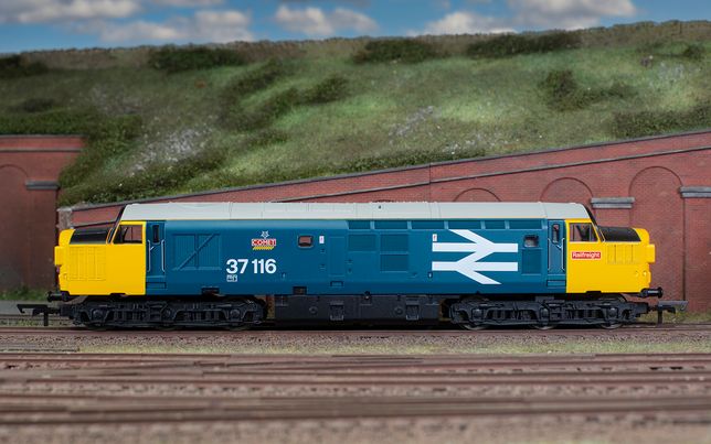 RailRoad Plus BR, Class 37, Co-Co, 37116 'Comet'- Era 8 RailRoad Plus BR, Class 37, Co-Co, 37116 'Comet'- Era 8